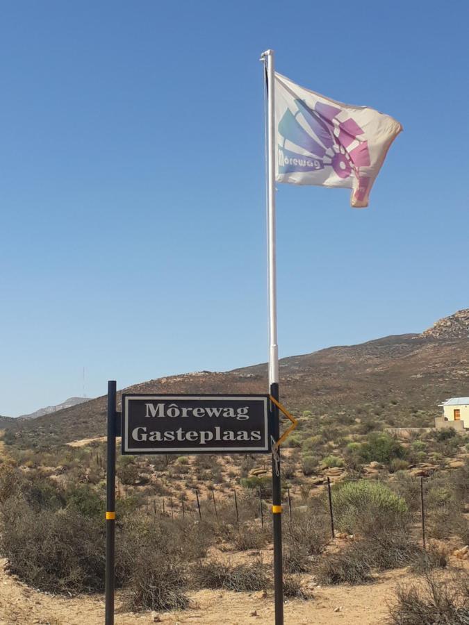 Morewag Farm Springbok Bagian luar foto